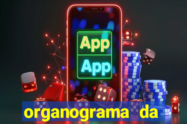 organograma da cacau show
